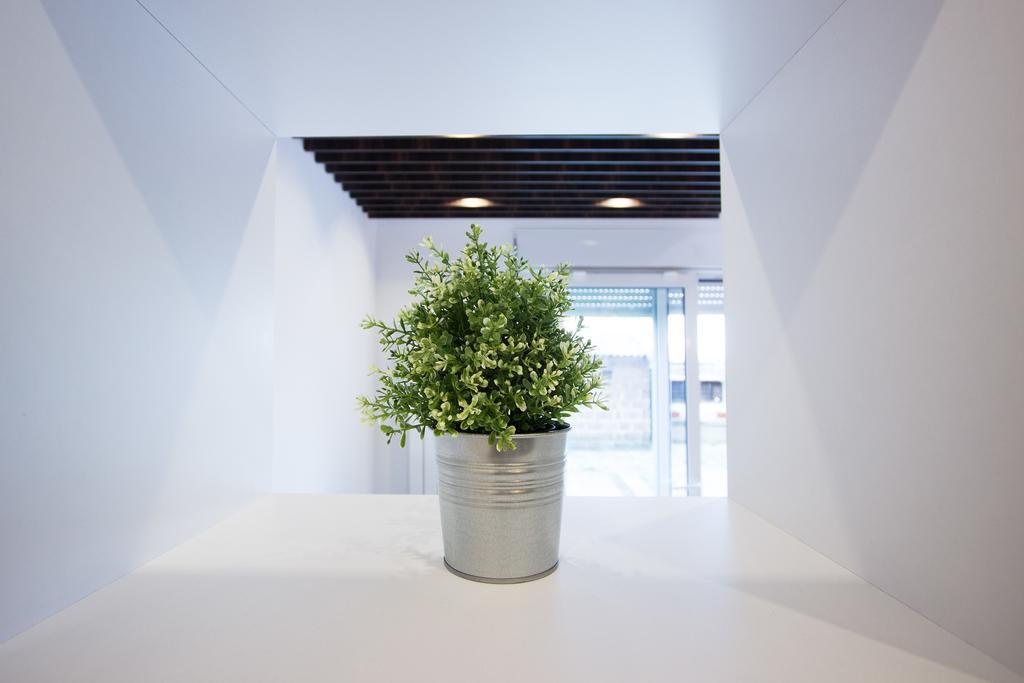The Boutique Apartment Belgrad Rum bild